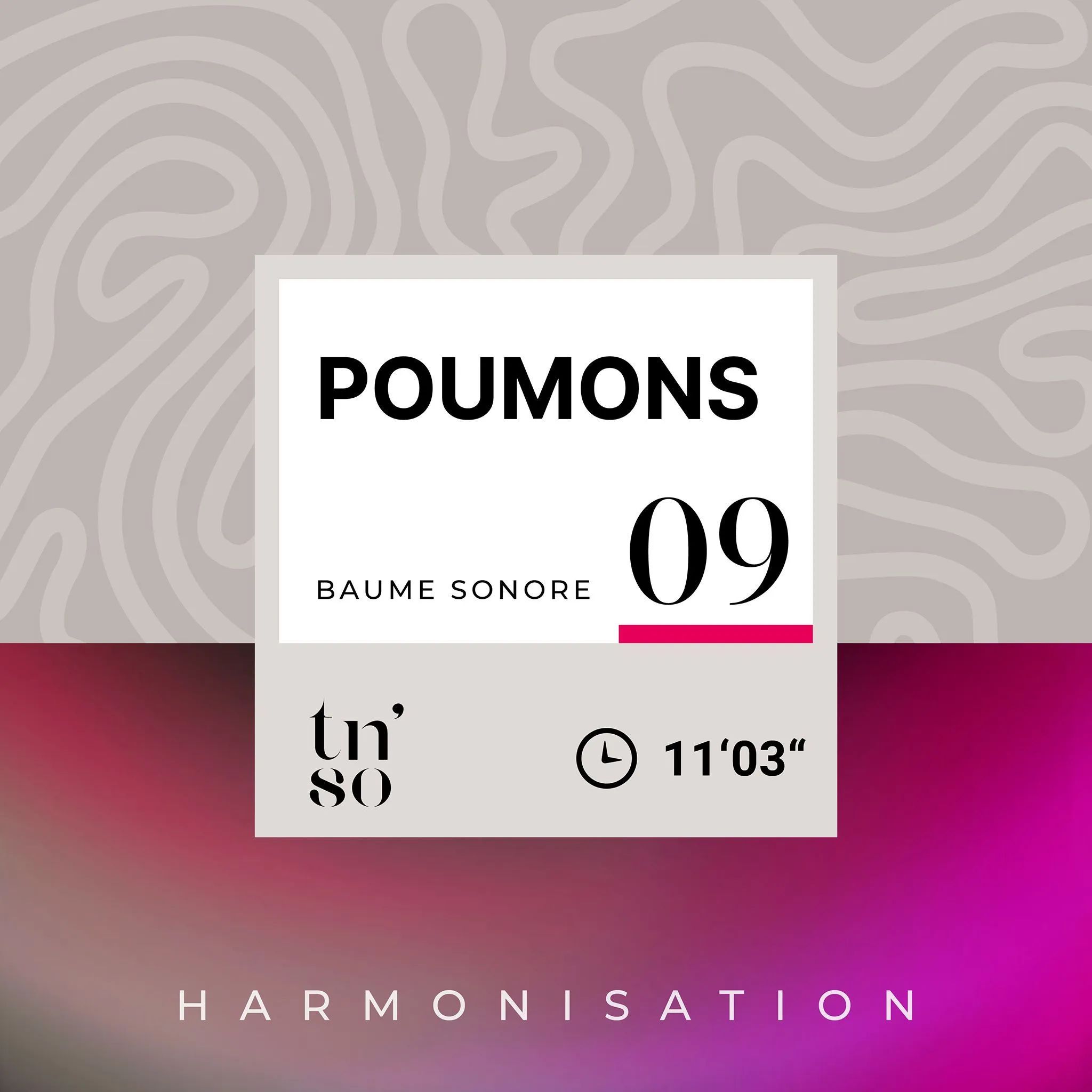 BS-09-poumons-vignette-FR.jpg