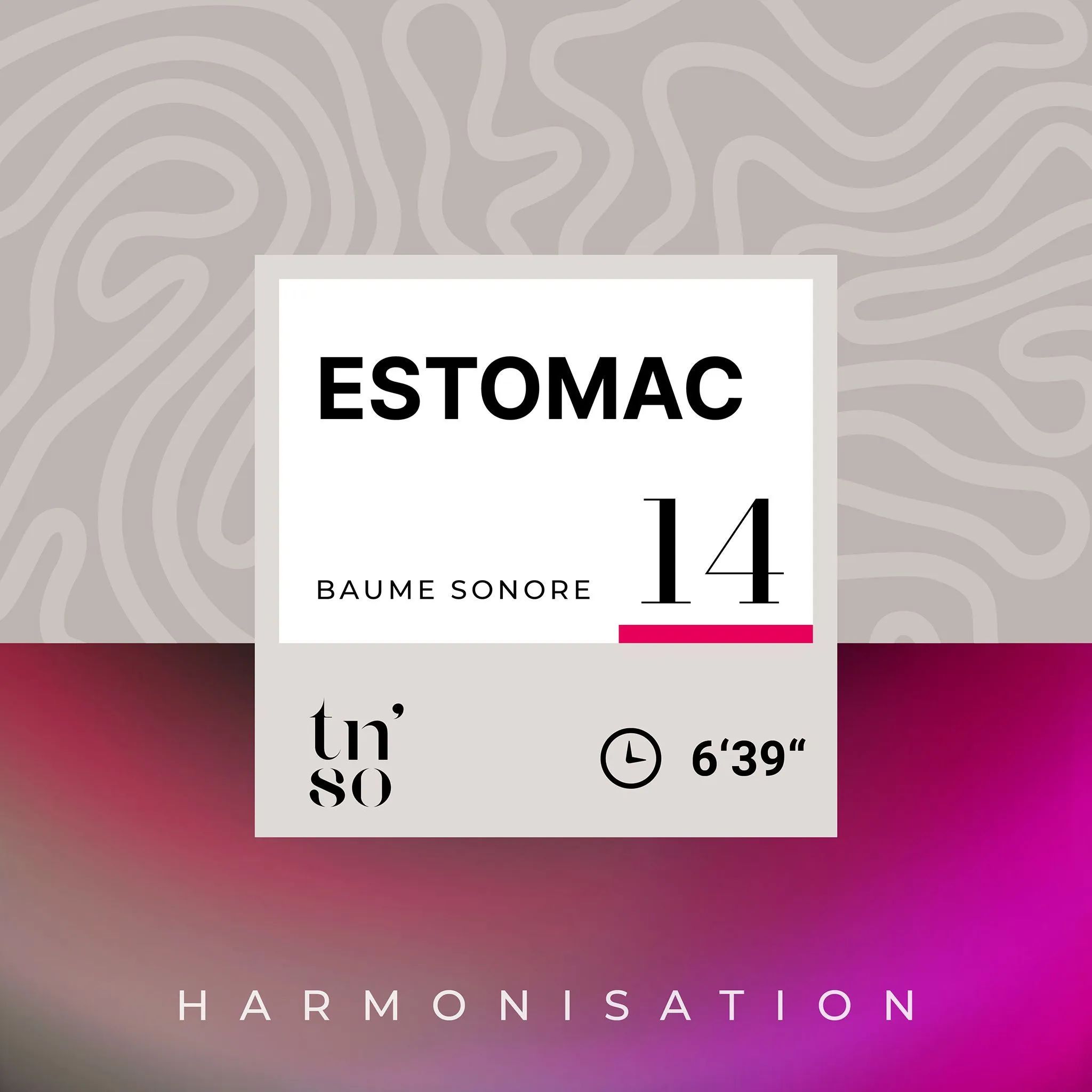 BS-14-estomac-vignette-FR.jpg