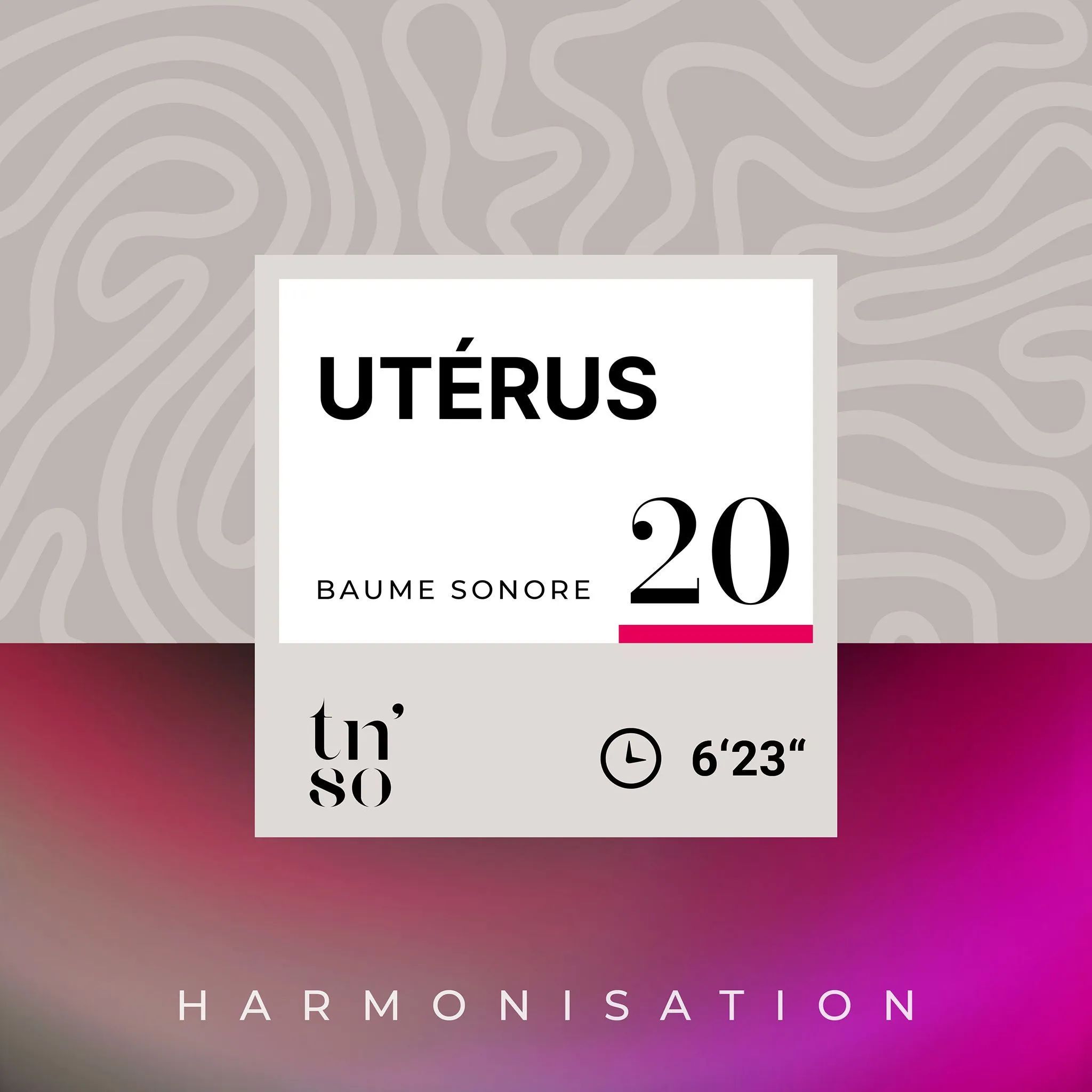 BS-20-uterus-vignette-FR.jpg