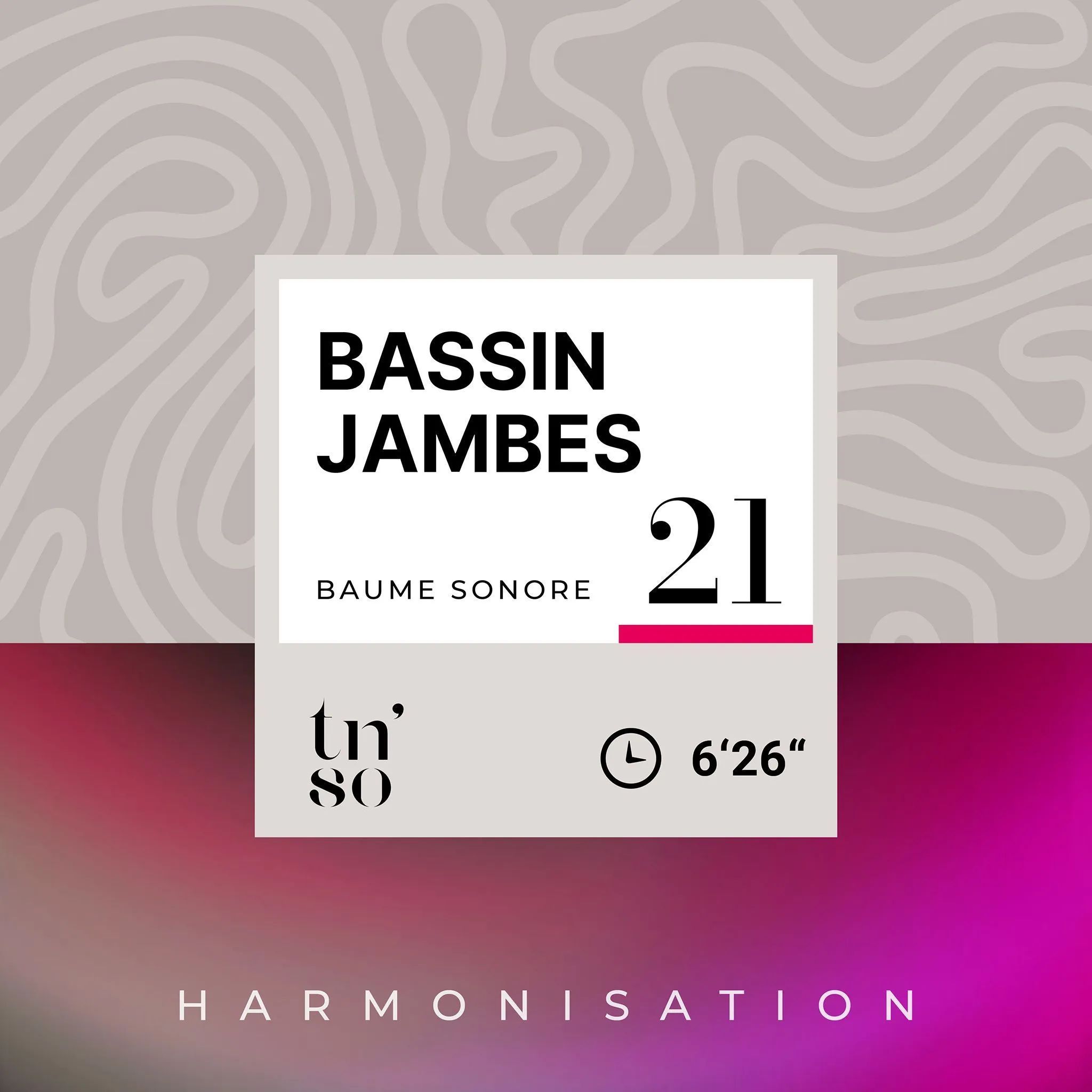 BS-21-bassin-jambes-vignette-FR.jpg