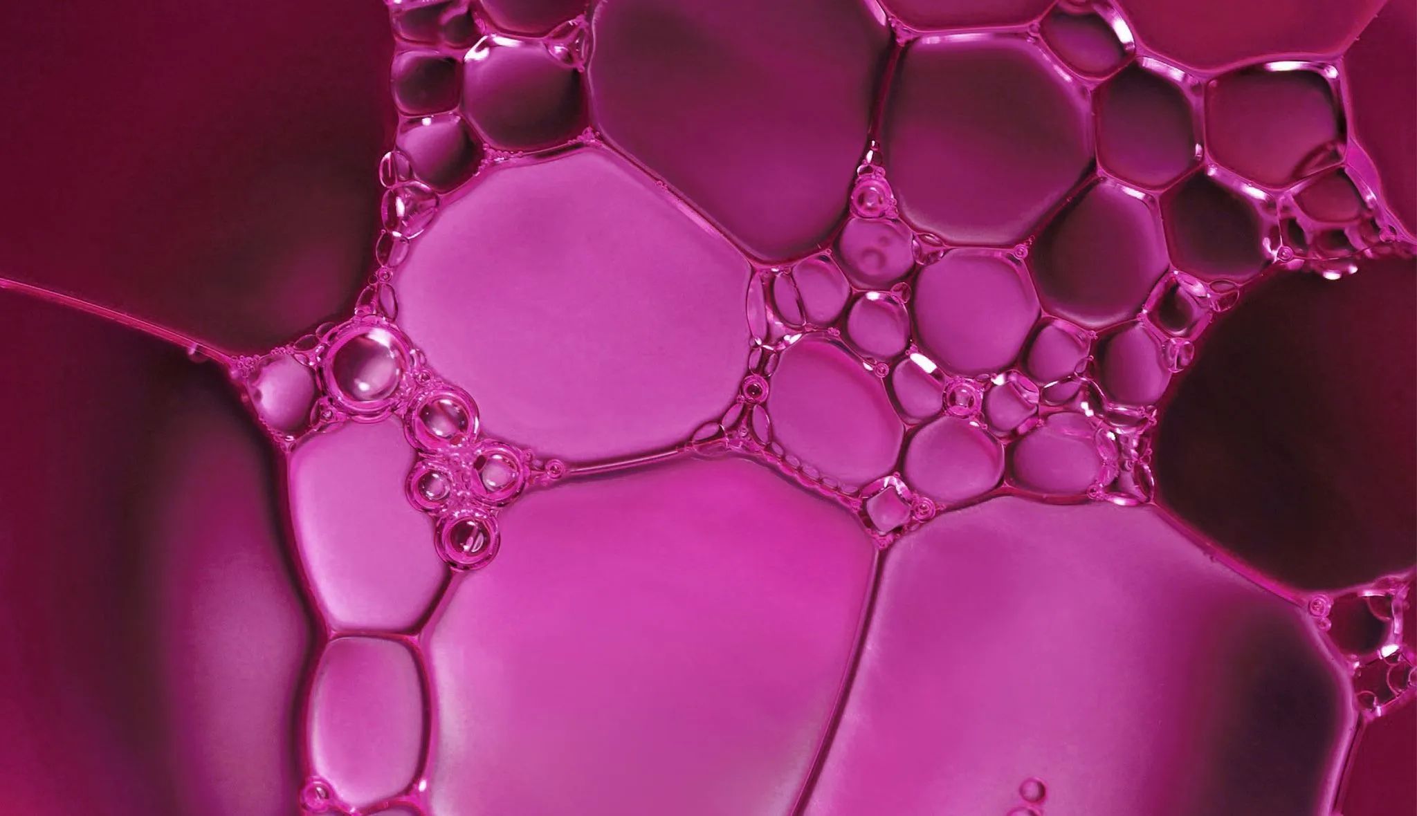 AR-67-culpabilite-une.jpg