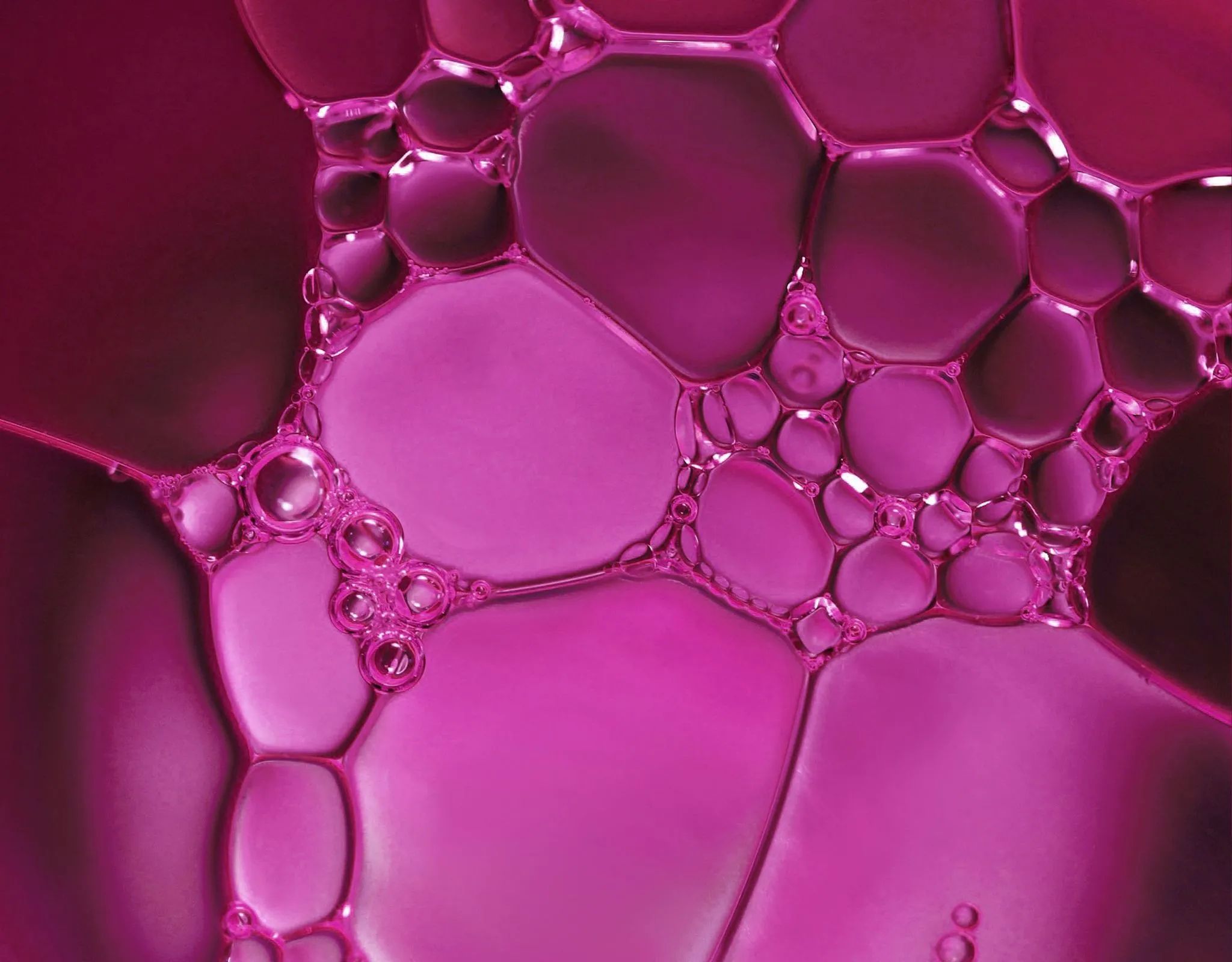 AR-67-culpabilite-vignette.jpg