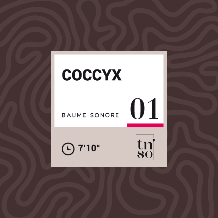 TNSO vignette Baume sonore 01 Coccyx