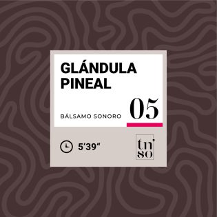 TNSO-miniatura-balsamo-sonoro-05-glandula-pineal