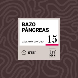 TNSO-miniatura-balsamo-sonoro-15-bazo-pancreas