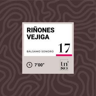 TNSO-miniatura-balsamo-sonoro-17-rinones-vejiga