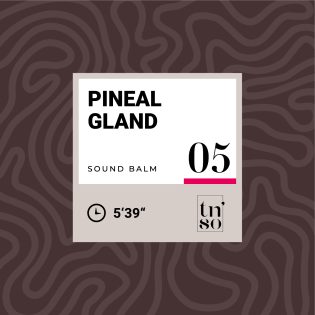 TNSO-thumbnail-sound-balm-05-pineal-gland