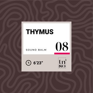 TNSO-thumbnail-sound-balm-08-thymus