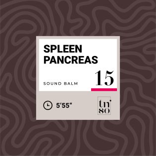 TNSO-thumbnail-sound-balm-15-spleen-pancreas