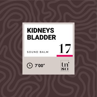 TNSO-thumbnail-sound-balm-17-kidneys-bladder
