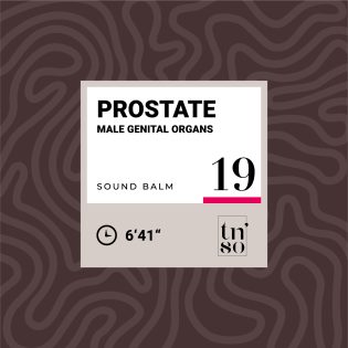 TNSO-thumbnail-sound-balm-19-prostate