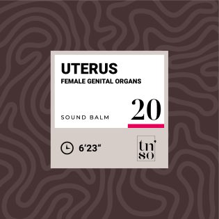 TNSO-thumbnail-sound-balm-20-uterus