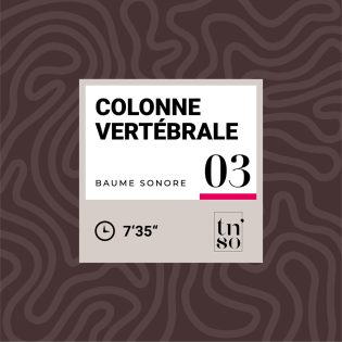 TNSO-vignette-baume-sonore-03-colonne-vertebrale