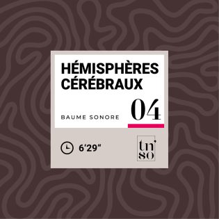 TNSO-vignette-baume-sonore-04-hemispheres-cerebraux