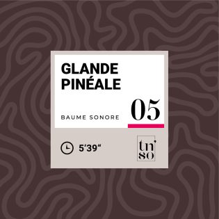 TNSO-vignette-baume-sonore-05-glande-pineale