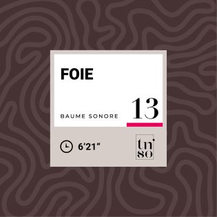 TNSO-vignette-baume-sonore-13-foie