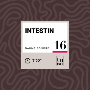 TNSO-vignette-baume-sonore-16-intestin