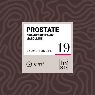 TNSO-vignette-baume-sonore-19-prostate