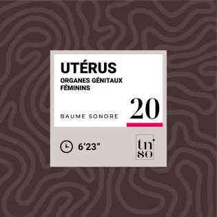 TNSO-vignette-baume-sonore-20-uterus