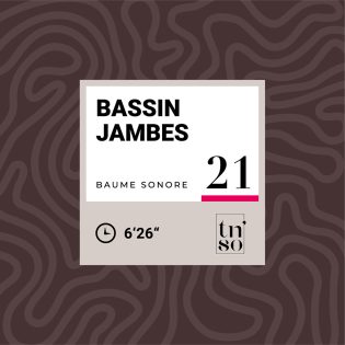 TNSO-vignette-baume-sonore-21-bassin-jambes