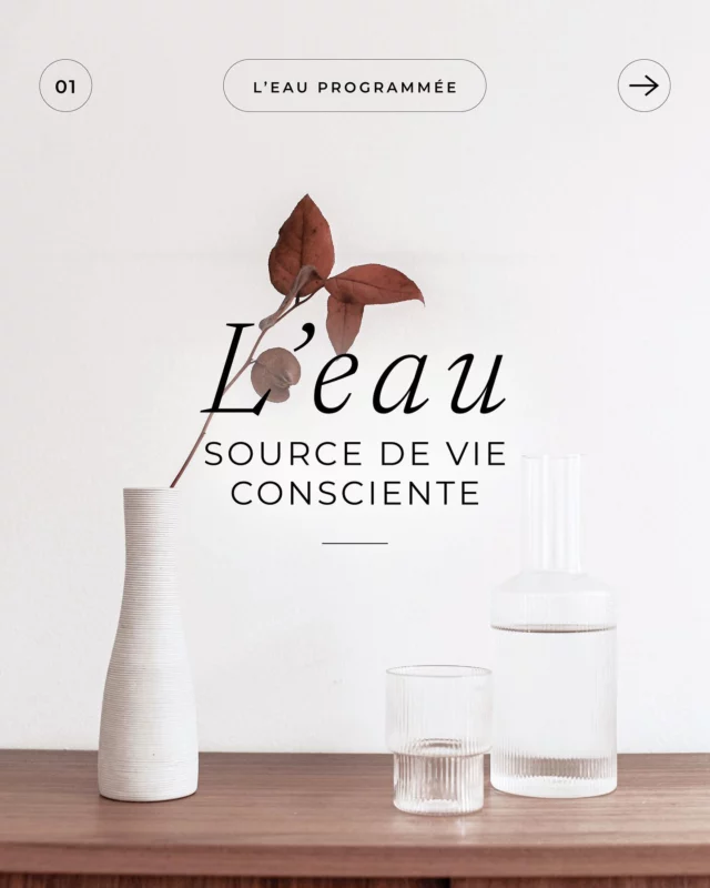 .
L’EAU, source de vie consciente

L’eau est bien plus qu’un PGC, autrement dit un “produit de grande consommation“. Savez-vous que l’eau peut être programmée et utilisée en cure ? C’est une pratique que j’utilise depuis des années à titre personnel, mais aussi dans les soins énergétiques que je propose. Chaque soin, individuel ou collectif, débute par une programmation de l’eau au son de ma voix et s’achève en buvant l’eau en conscience. L’eau programmée peut être ensuite utilisée en cure d’une semaine ou plus, pour prolonger les effets du soin : ancrage, nettoyage intérieur, fluidification d’une situation bloquée… Vous n’avez pas idée de tout ce que l’eau peut faire pour vous ! 😉

Vous voulez en savoir plus ?

👉 Découvrez l’article dans lequel je décris les principes de la cure d’eau programmée (lien en bio)

👉 Inscrivez-vous aux prochains soins collectifs les 25 & 15 juin : c’est l’occasion de vous lancer dans une cure ! (lien en bio)

Belle journée et soyez vibrants 🌺
.
.
#eau
#soincollectif
#soinadistance
#tnso
#erinkann
#baumessonores